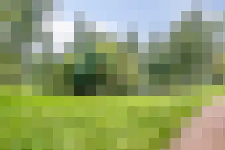 Gulikstraat 40 Venlo thumbnail 32