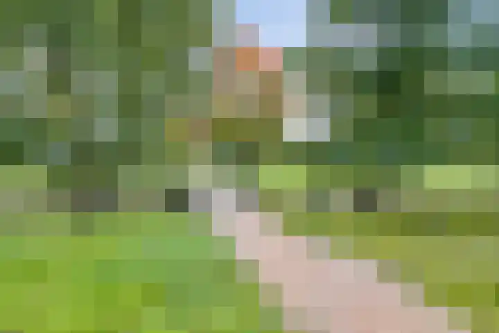 Gulikstraat 40 Venlo thumbnail 33