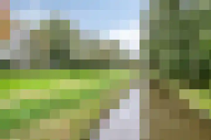 Gulikstraat 40 Venlo thumbnail 34