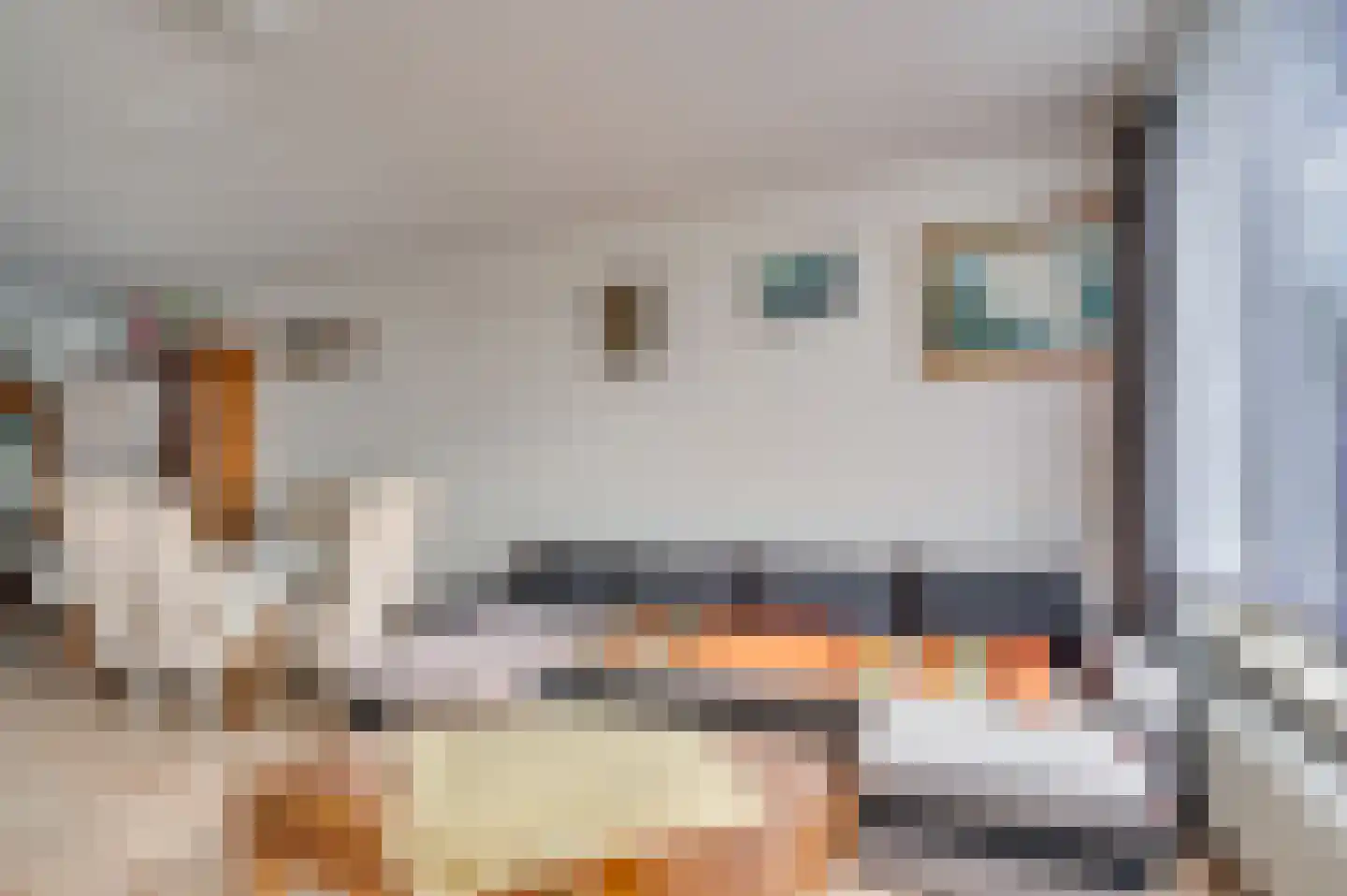 Gulikstraat 46 Venlo thumbnail 12