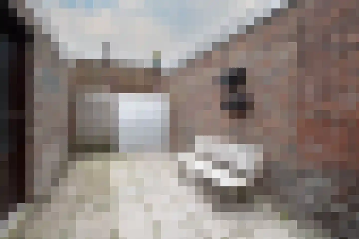 Gulikstraat 51 Eygelshoven thumbnail 16
