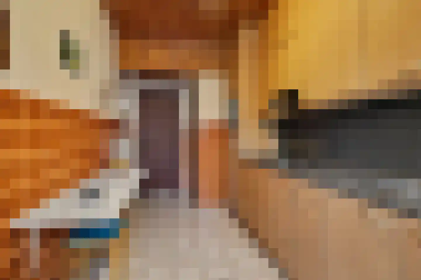 Gulikstraat 55 Venlo thumbnail 13