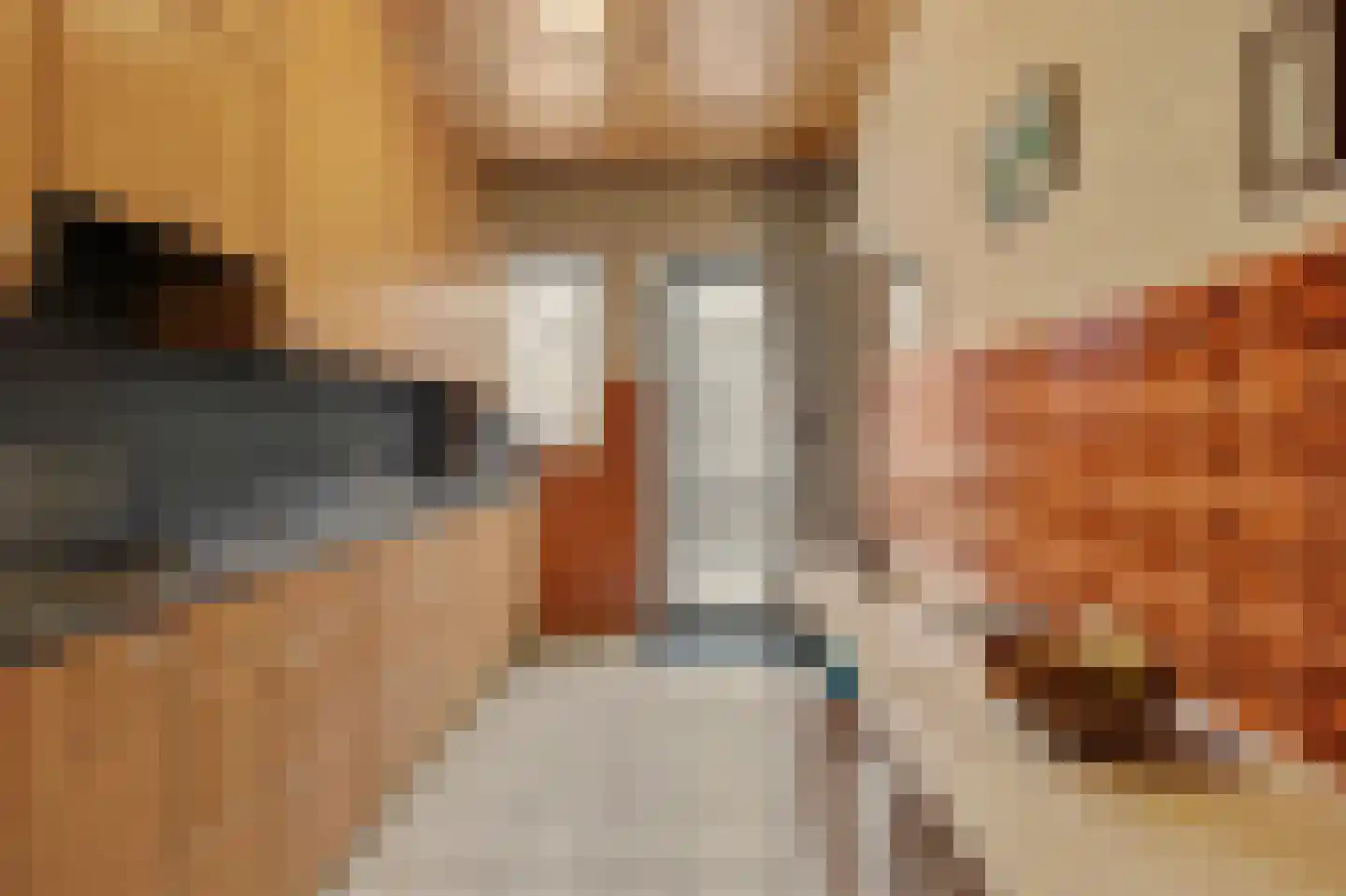 Gulikstraat 55 Venlo thumbnail 14