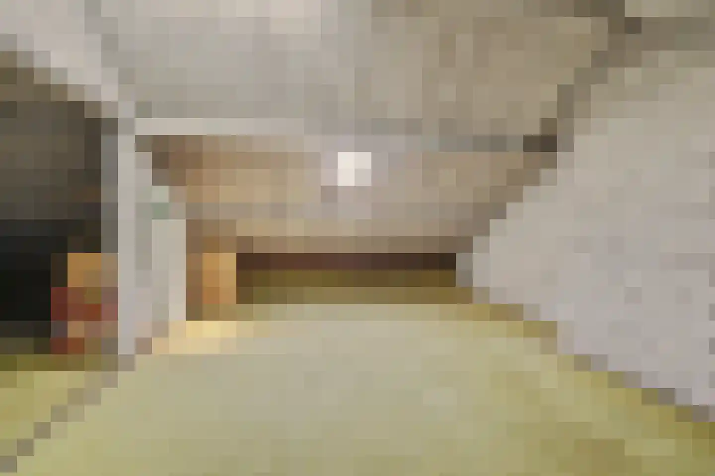 Gulikstraat 55 Venlo thumbnail 24