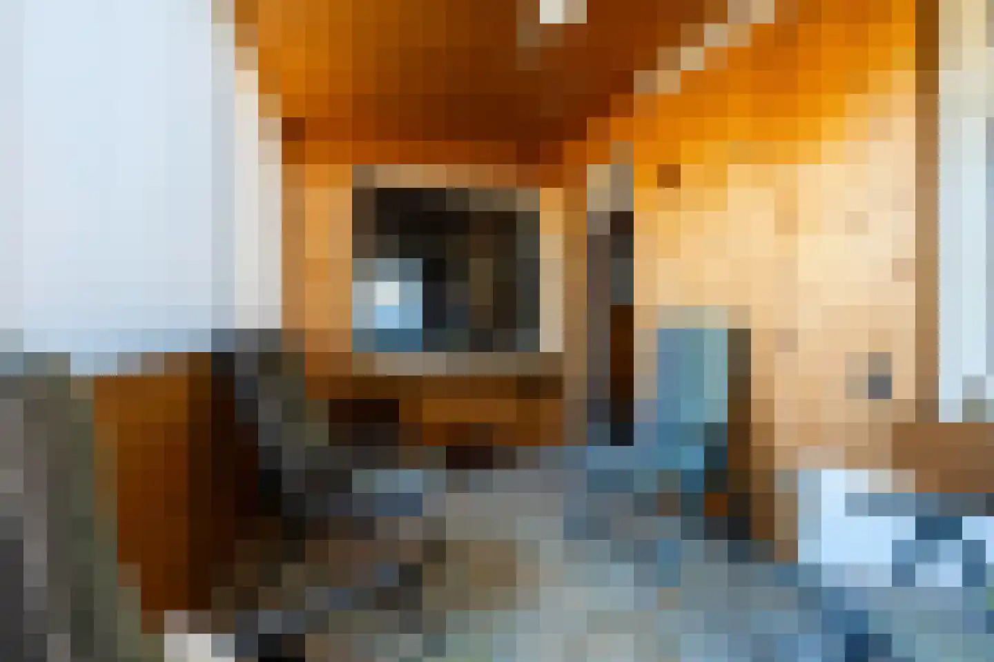 Gulperstraat 19 Kerkrade thumbnail 10