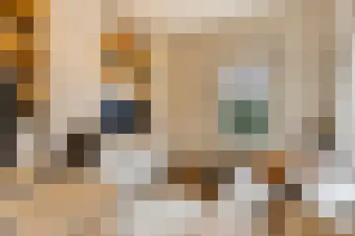 Gunninglaan 19 Apeldoorn thumbnail 18
