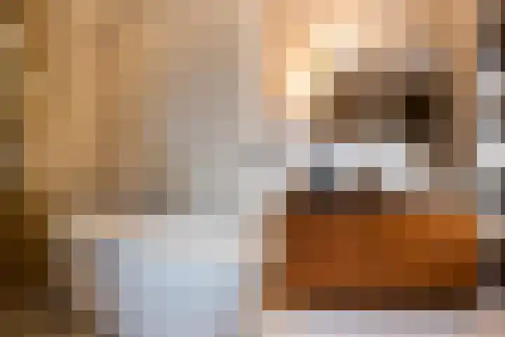Gunninglaan 19 Apeldoorn thumbnail 25