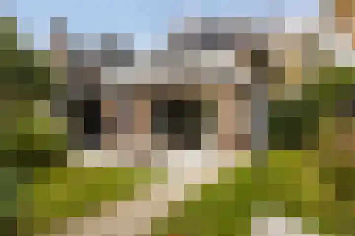 Gunninglaan 19 Apeldoorn thumbnail 34