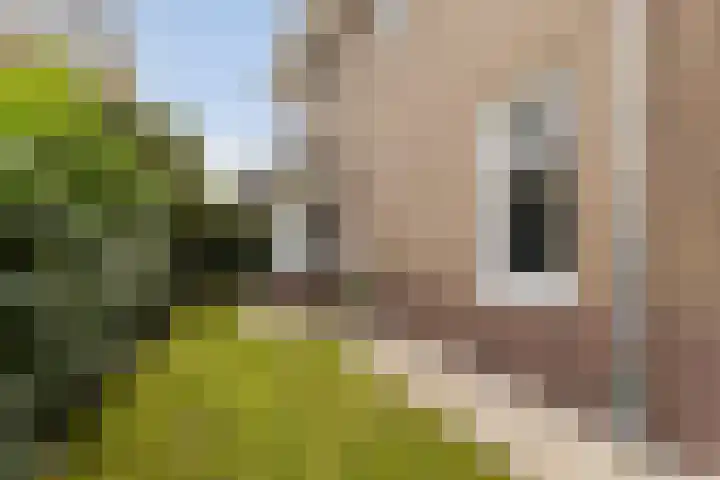 Gunninglaan 19 Apeldoorn thumbnail 37