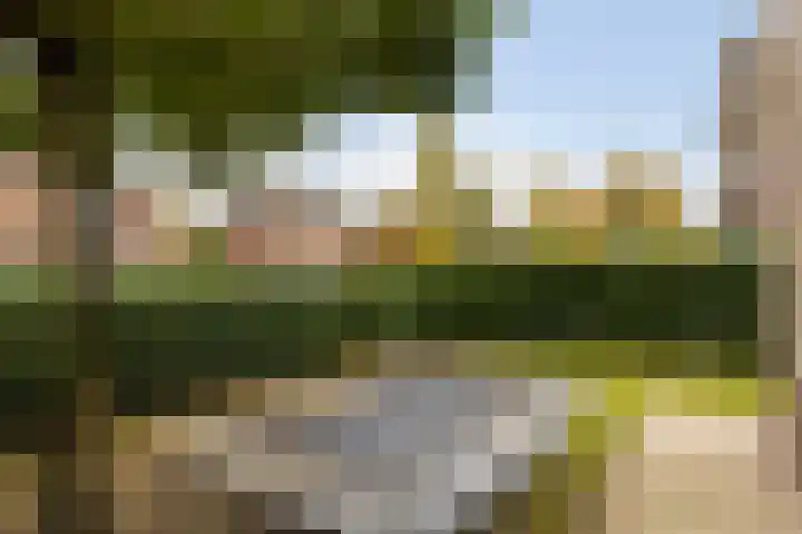 Gunninglaan 19 Apeldoorn thumbnail 38