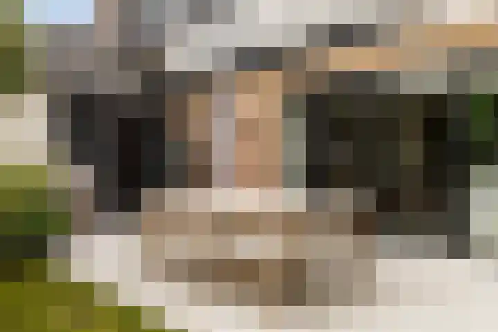Gunninglaan 19 Apeldoorn thumbnail 4