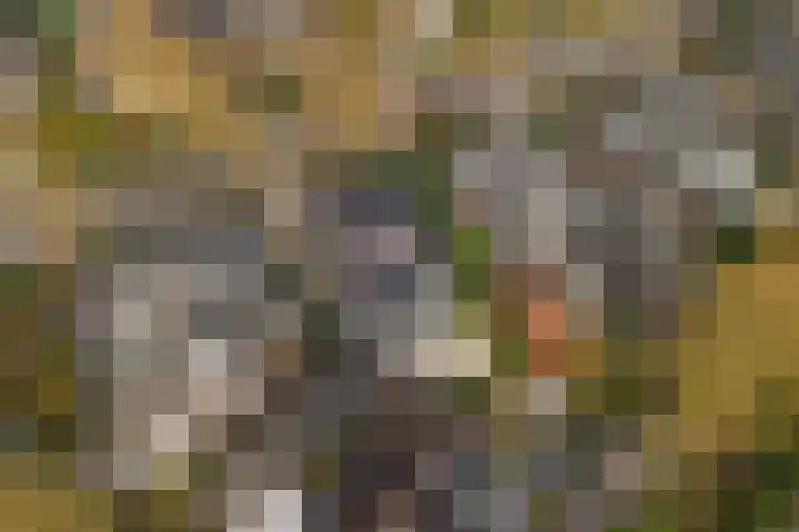 Gunninglaan 19 Apeldoorn thumbnail 5