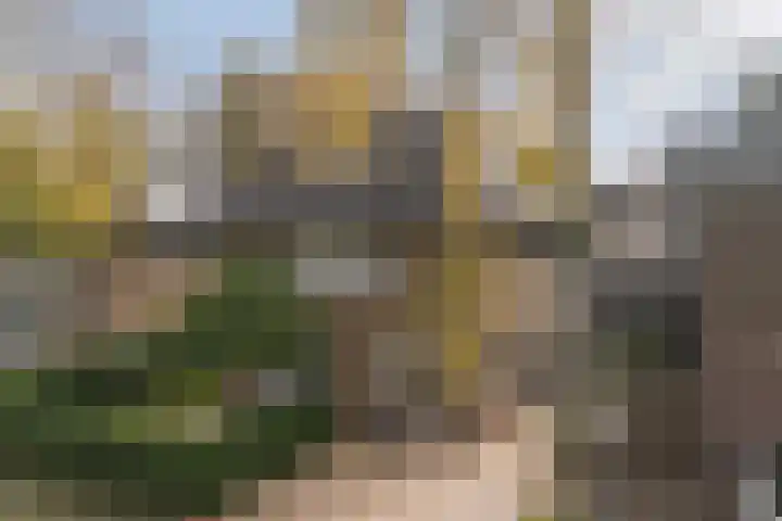 Gunninglaan 19 Apeldoorn thumbnail 6