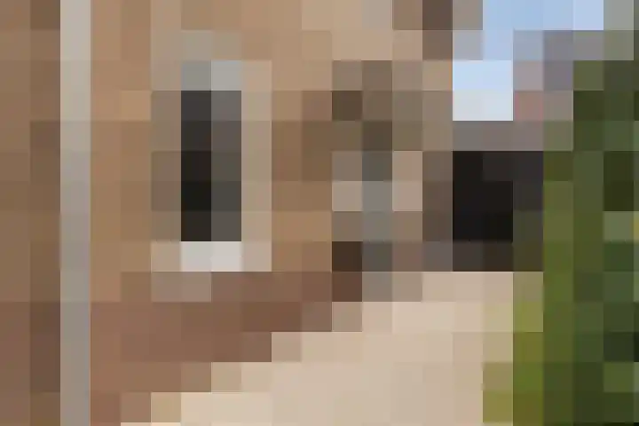 Gunninglaan 19 Apeldoorn thumbnail 7