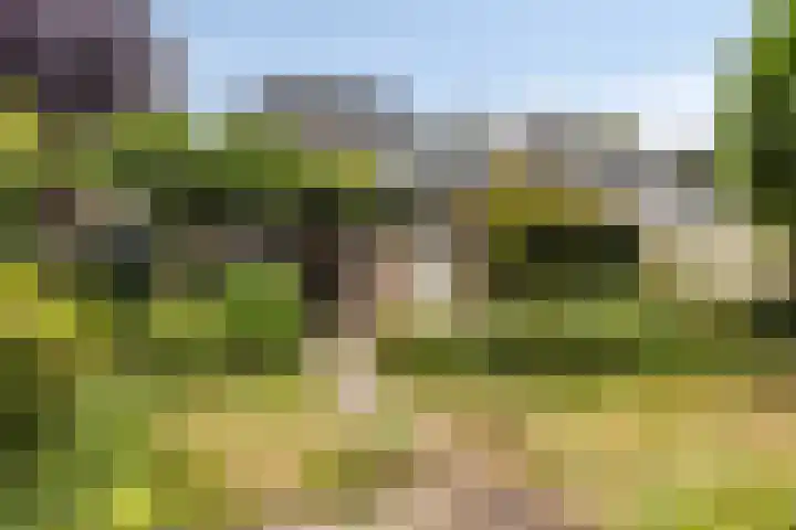 Gunninglaan 26 Apeldoorn thumbnail 14