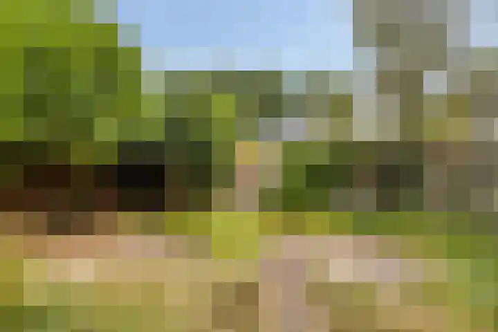 Gunninglaan 26 Apeldoorn thumbnail 15