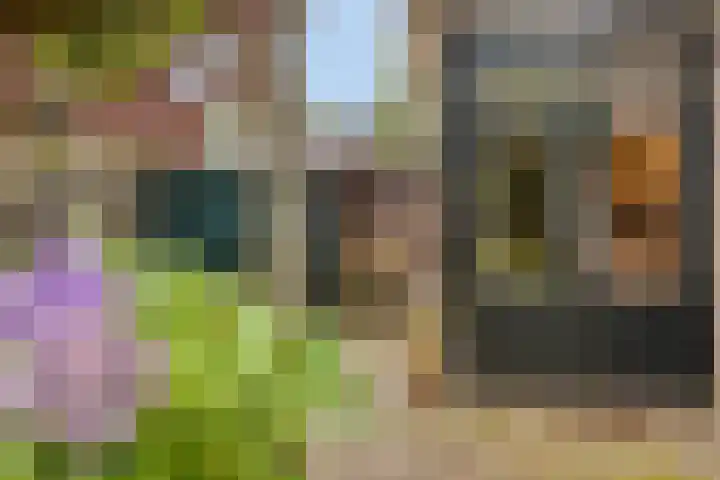 Gunninglaan 26 Apeldoorn thumbnail 16