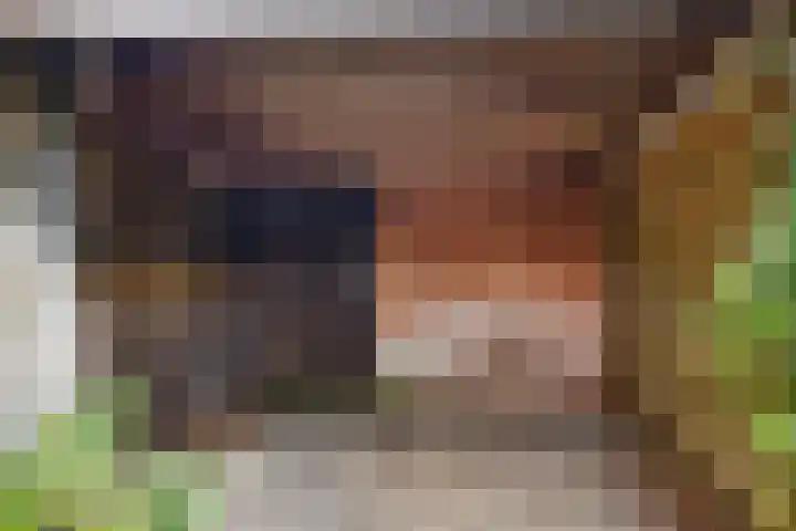 Gunninglaan 26 Apeldoorn thumbnail 17