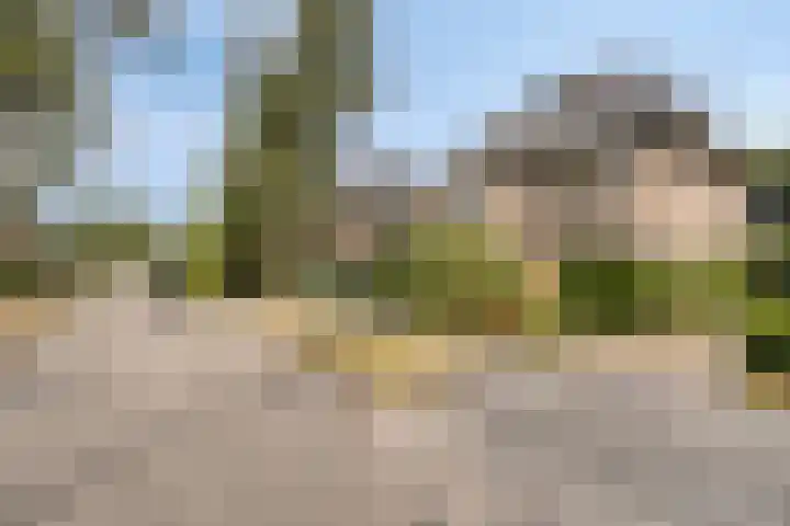 Gunninglaan 26 Apeldoorn thumbnail 28