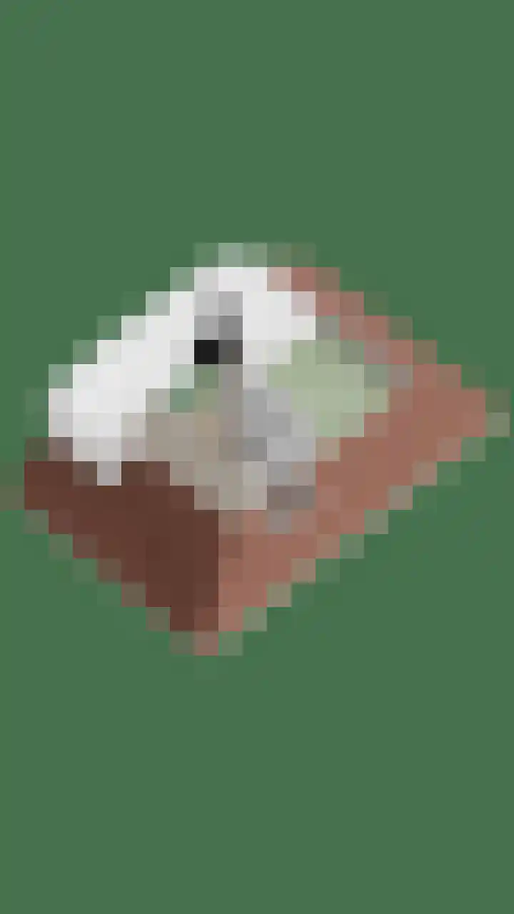 Gunninglaan 26 Apeldoorn thumbnail 37