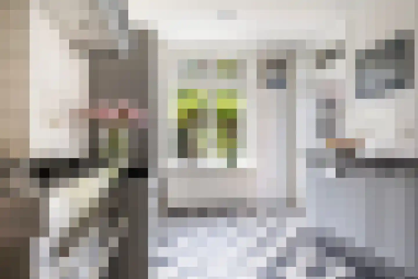 Gunninglaan 43 Apeldoorn thumbnail 21