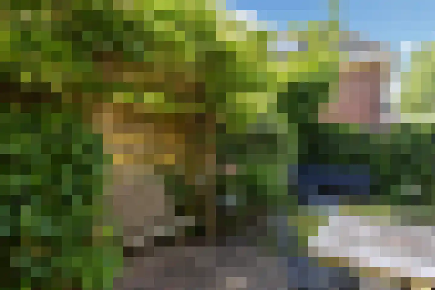 Gunninglaan 43 Apeldoorn thumbnail 22
