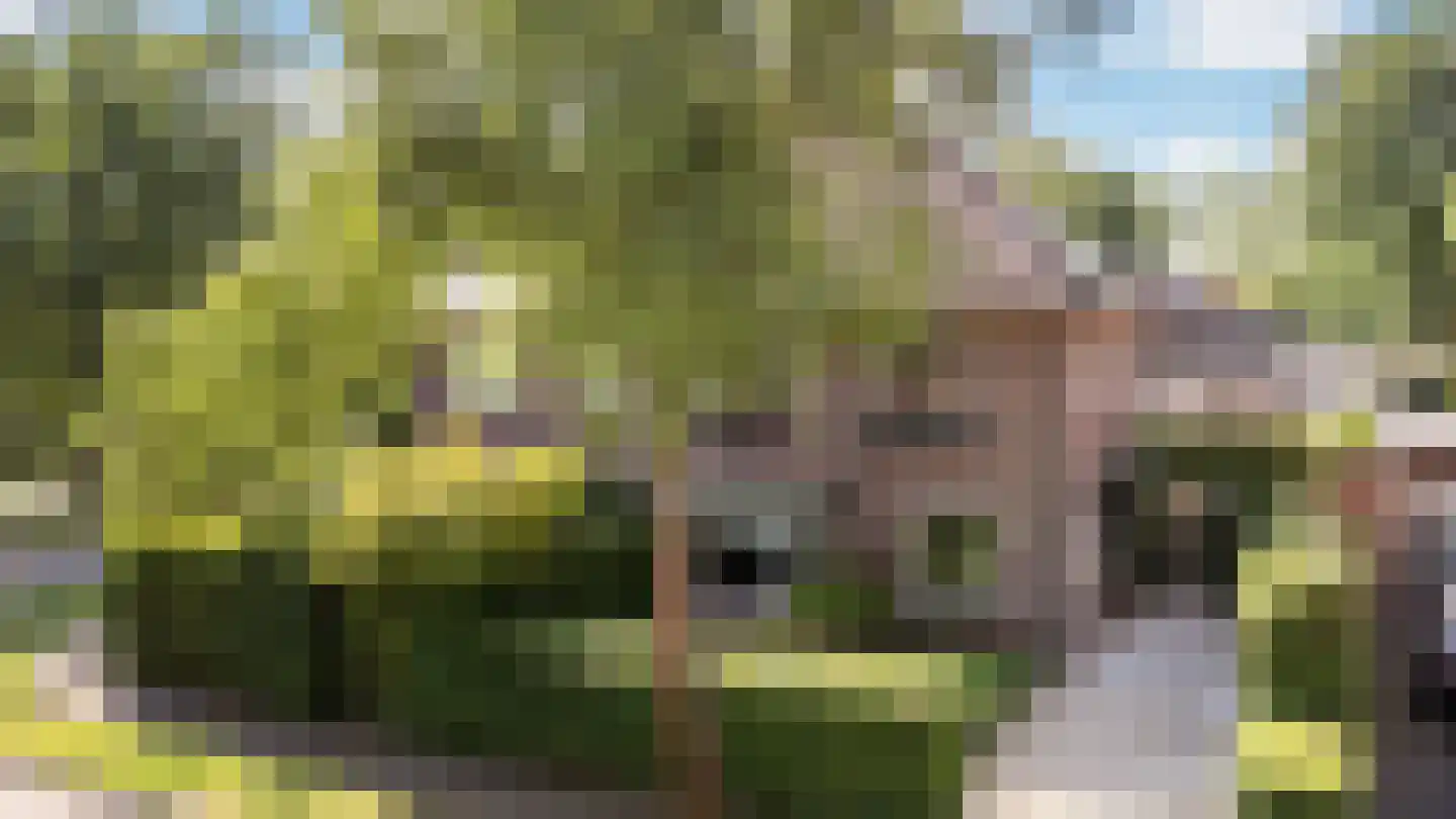 Gunninglaan 43 Apeldoorn thumbnail 45