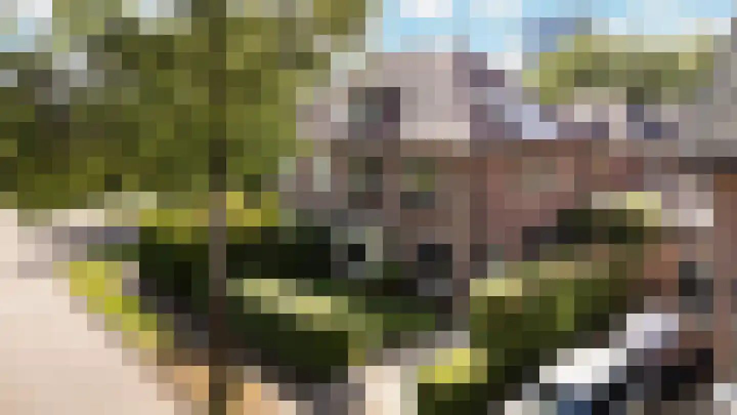 Gunninglaan 43 Apeldoorn thumbnail 46
