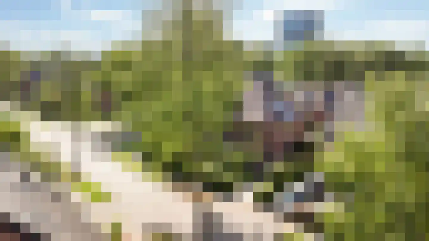 Gunninglaan 43 Apeldoorn thumbnail 50