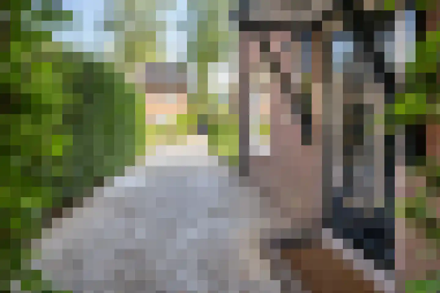 Gunninglaan 43 Apeldoorn thumbnail 6