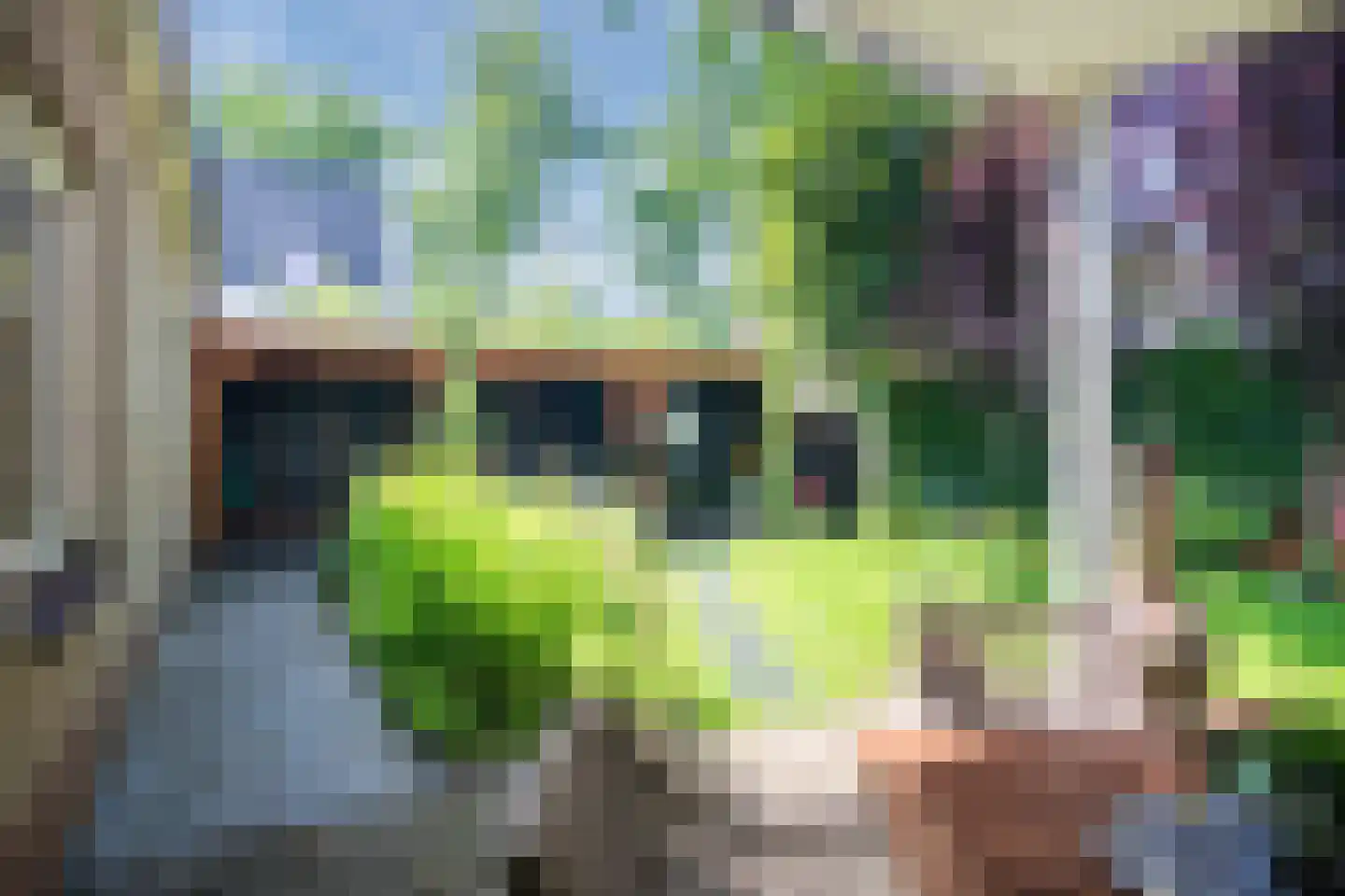 Gunninglaan 53 Apeldoorn thumbnail 28