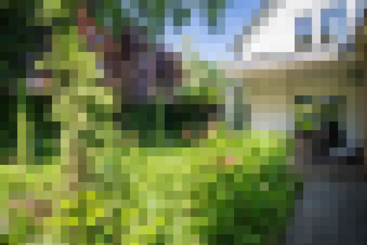 Gunninglaan 53 Apeldoorn thumbnail 30