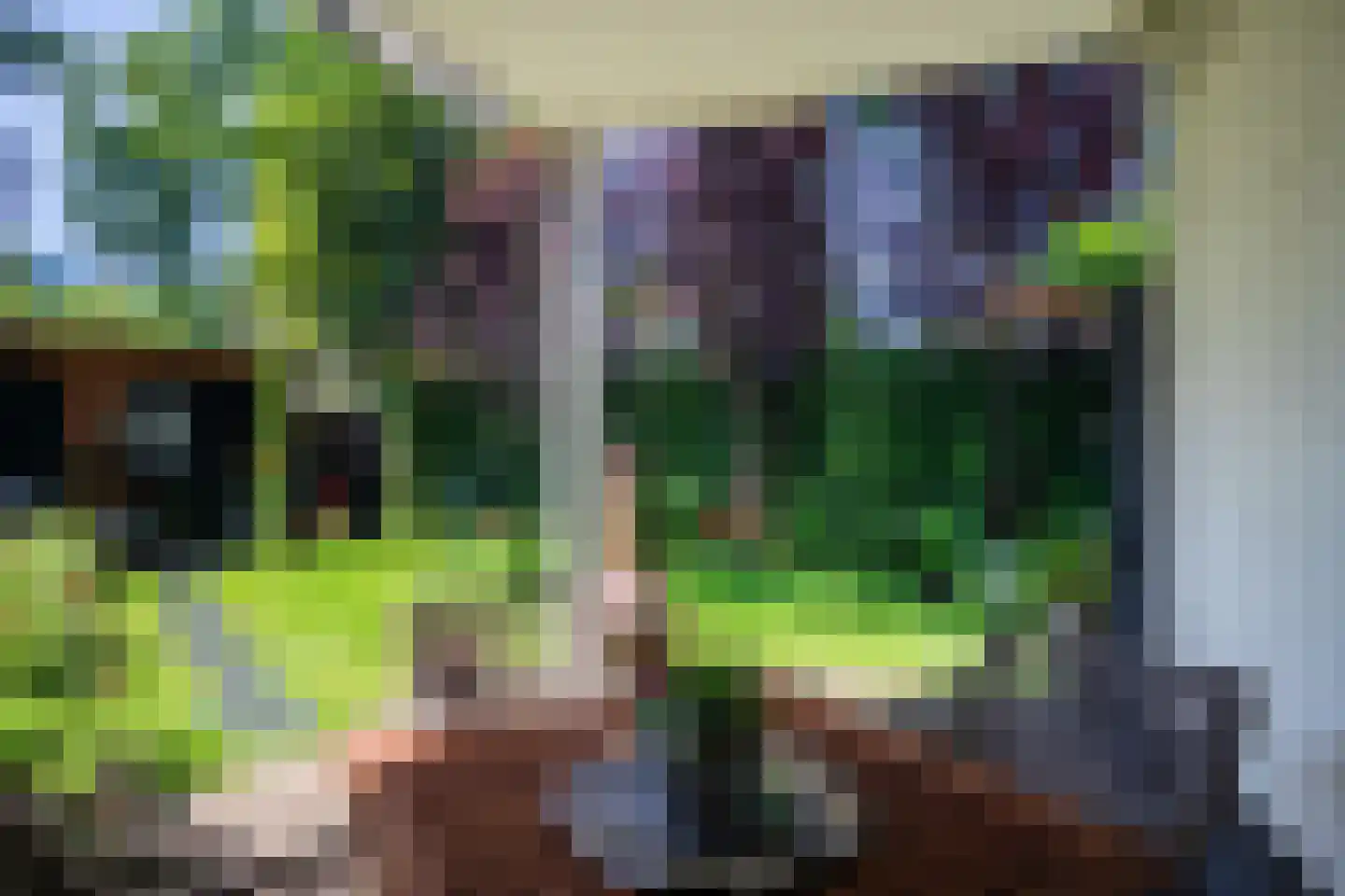 Gunninglaan 53 Apeldoorn thumbnail 31