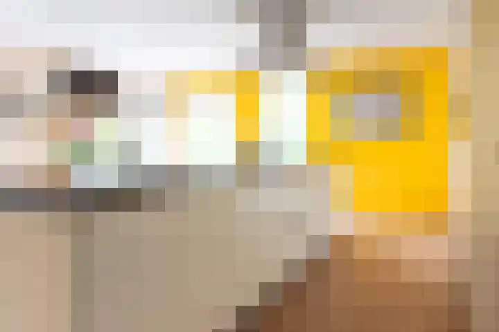 Gunninglaan 55 Apeldoorn thumbnail 12