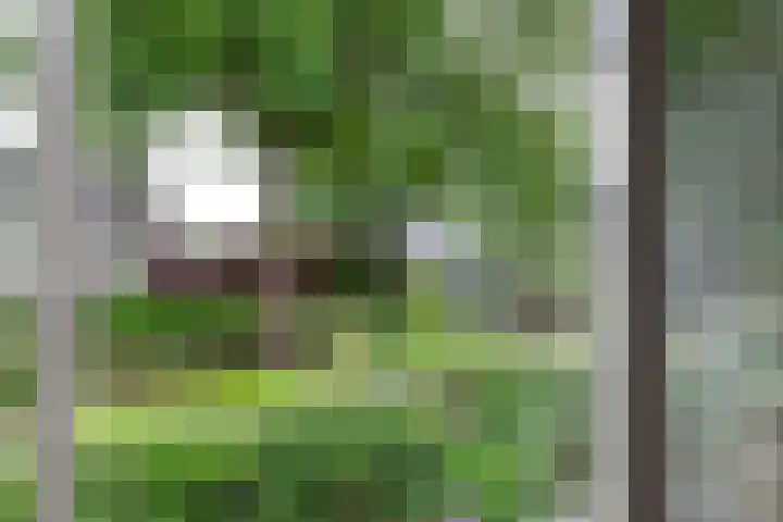 Gunninglaan 55 Apeldoorn thumbnail 16