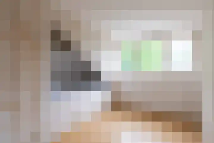 Gunninglaan 55 Apeldoorn thumbnail 22