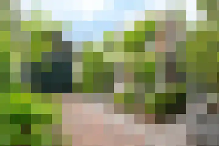 Gunninglaan 55 Apeldoorn thumbnail 24