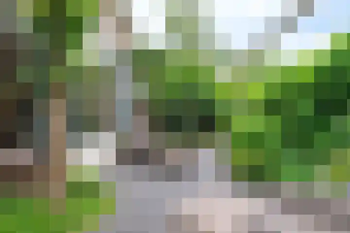 Gunninglaan 55 Apeldoorn thumbnail 26