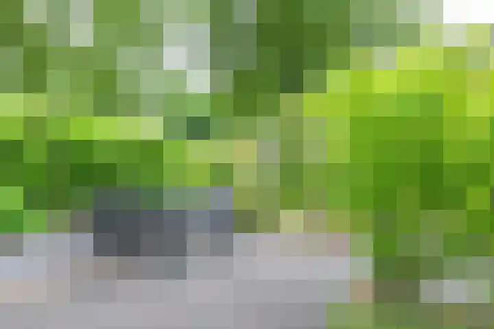 Gunninglaan 55 Apeldoorn thumbnail 28