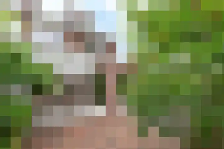 Gunninglaan 55 Apeldoorn thumbnail 29