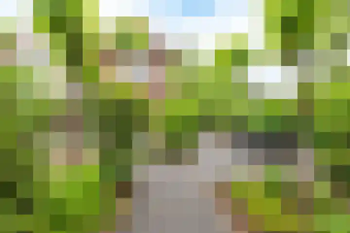 Gunninglaan 55 Apeldoorn thumbnail 31