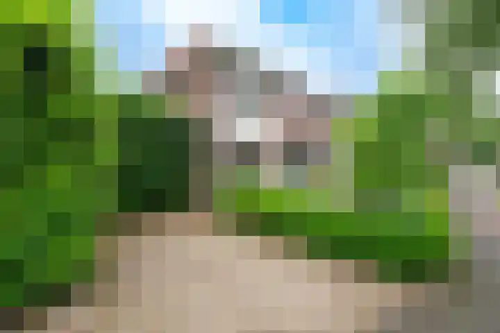 Gunninglaan 55 Apeldoorn thumbnail 4