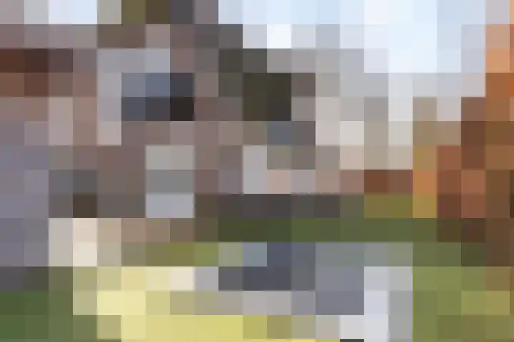 Gunninglaan 64 Apeldoorn thumbnail 10