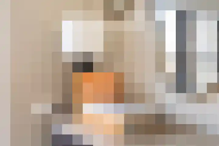 Gunninglaan 64 Apeldoorn thumbnail 19