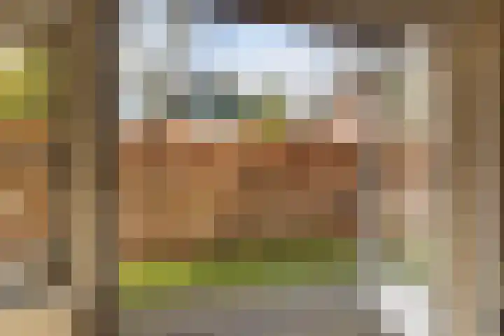 Gunninglaan 64 Apeldoorn thumbnail 26