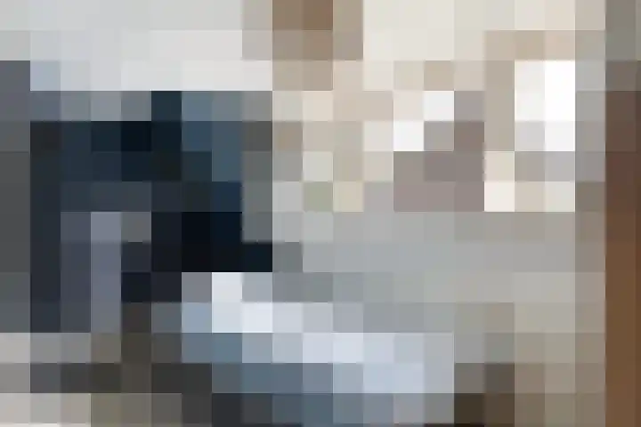 Gunninglaan 64 Apeldoorn thumbnail 38
