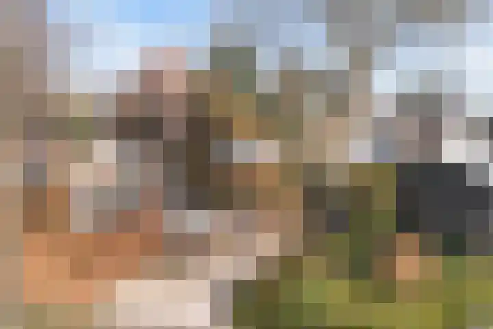 Gunninglaan 64 Apeldoorn thumbnail 43