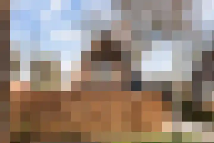 Gunninglaan 64 Apeldoorn thumbnail 45