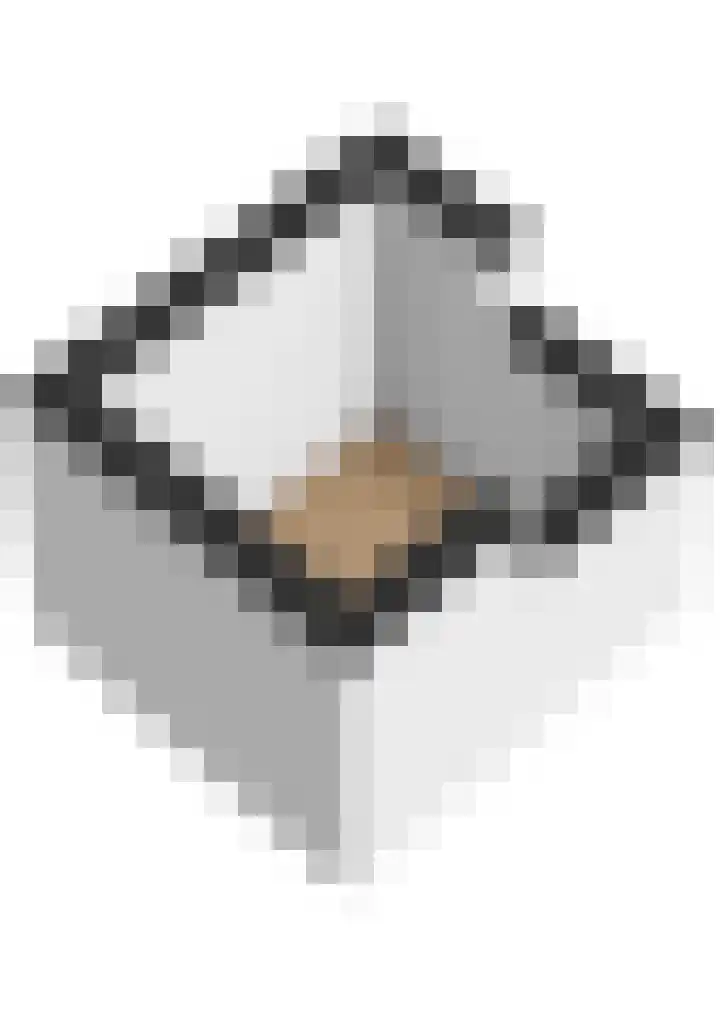 Gunninglaan 64 Apeldoorn thumbnail 63