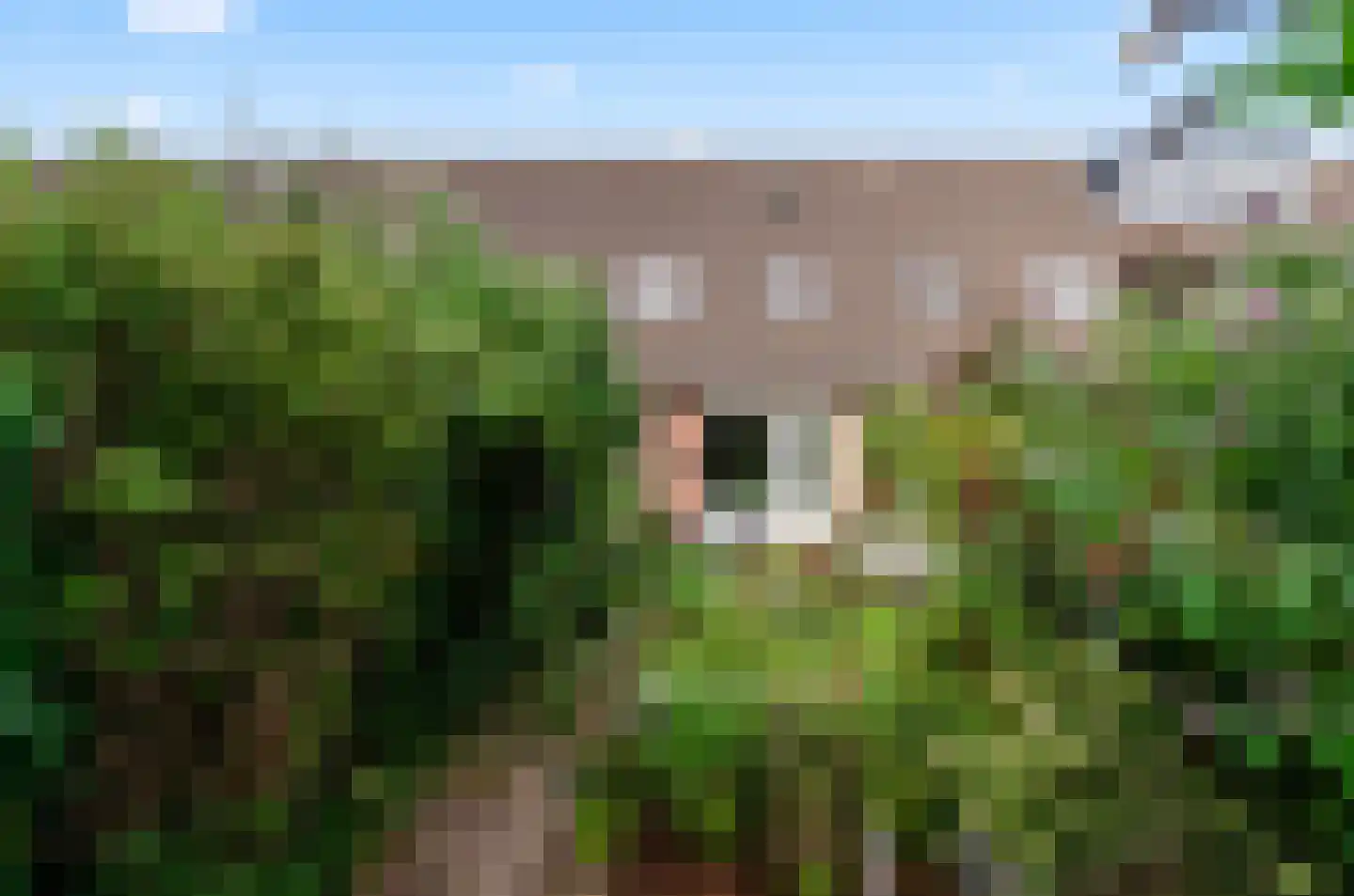 Gunterstein 11 Amersfoort thumbnail 43